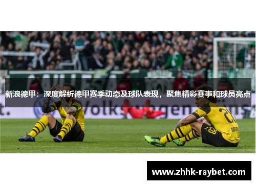 新浪德甲：深度解析德甲赛季动态及球队表现，聚焦精彩赛事和球员亮点