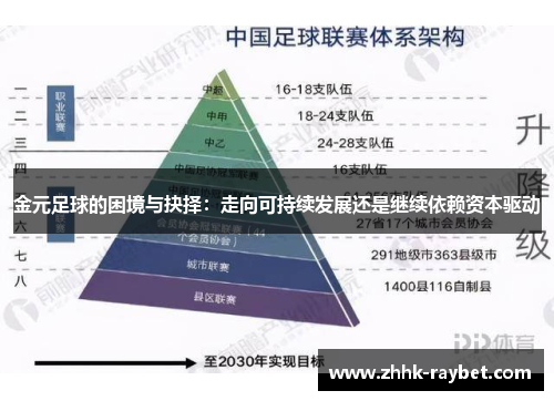 金元足球的困境与抉择：走向可持续发展还是继续依赖资本驱动