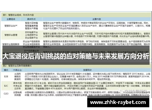 大宝退役后青训挑战的应对策略与未来发展方向分析